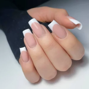 Nehtova modelaz